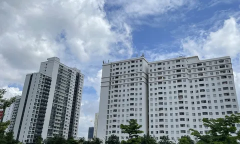 Phó thủ tướng: Chú ý hành vi trốn thuế trong kinh doanh bất động sản
