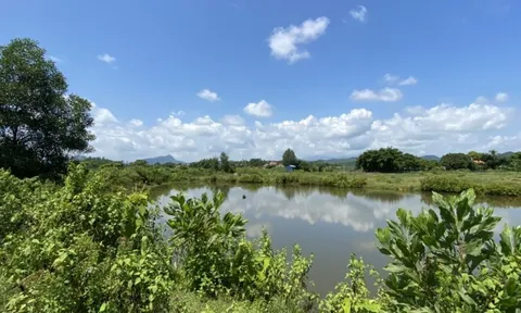 Quảng Ninh: "Ôm" gần 150ha đất rồi bỏ hoang, dự án 400 tỷ vẫn "trên giấy"