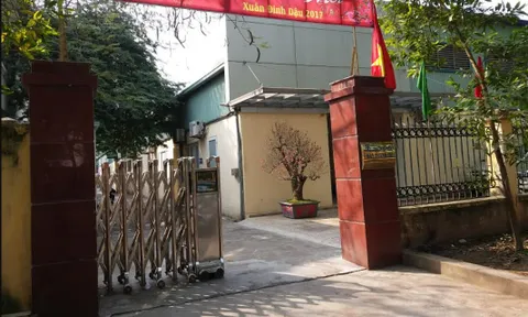 May Thanh Trì (TTG) kinh doanh 4 năm liền đi lùi, cổ phiếu vẫn tăng 12 phiên liên tiếp