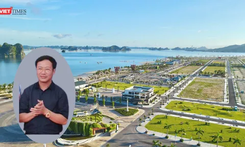 Indevco Group của doanh nhân Đỗ Thành Trung lỗ sâu năm 2021