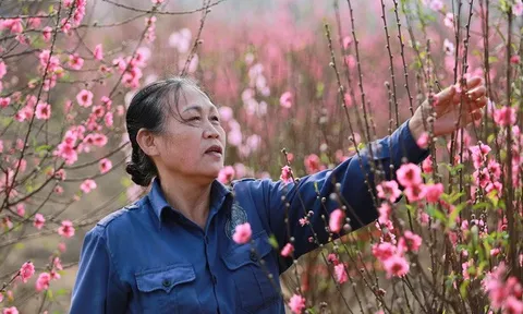 Bộ Tài chính đề xuất nghỉ Tết Nguyên đán 9 ngày