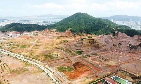 Cánh đồng chưa “bay” - Bài 2: “Xí” đất rồi bỏ hoang