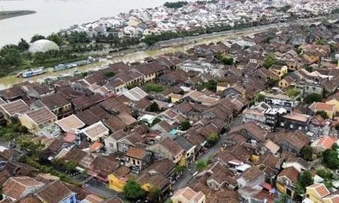 Chưa từng có doanh thu, Công ty Thiên Vương vẫn được giao 34.000m2 làm dự án