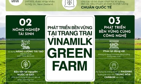 Tiêu dùng bền vững – Xu hướng cần được doanh nghiệp nắm bắt và thúc đẩy