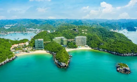 Lợi nhuận Flamingo Group tăng 36% trong nửa đầu năm, phát sinh thêm khoản vay trái phiếu cho các dự án BĐS