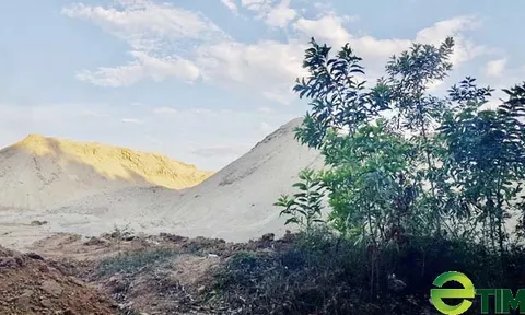 Quảng Ngãi: Trước khi dính sai phạm mỏ đất, Công ty Lý Tuấn từng lập bãi chứa cát trái phép