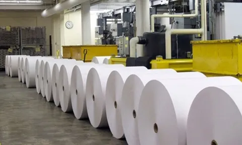 Đông Hải Bến Tre (DHC) nợ phải trả tăng 75%, lãnh đạo thâu tóm thêm 200.000 cổ phiếu