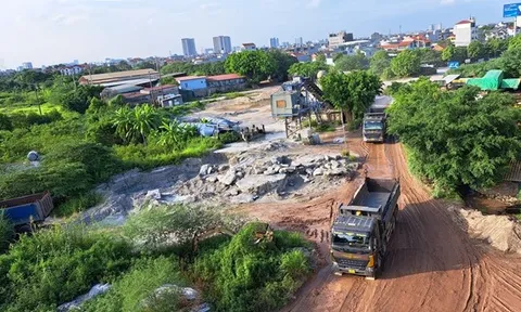 Hà Nội: Công ty Trọng Phụng vi phạm trong thời gian dài