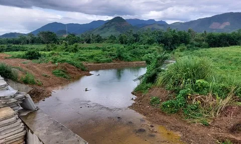 Đến bao giờ mới khắc phục xong?