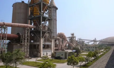 Bị BIDV rao bán nợ, sức khỏe DIC ra sao?