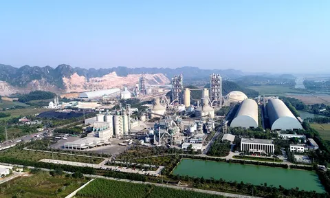 Tiếp tục sai phạm trong khái thác khoáng sản, Công ty Long Sơn bị xử phạt hơn 520 triệu đồng