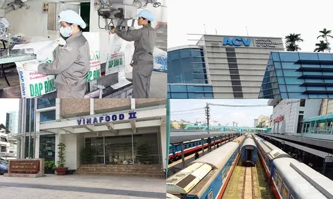 Doanh nghiệp nhà nước lỗ hơn 13,5 nghìn tỷ đồng trong năm 2021