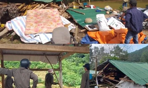 Lâm Đồng: Công ty Lâm nghiệp Lộc Bắc bị tố ngang nhiên hủy hoại, chiếm đoạt tài sản của người dân