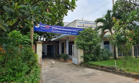 Có gì ở khu đất gần 300m2 của cty TNHH MTV Điện lực Đồng Nai vừa bị thu hồi ?