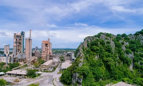 Vicem Hà Tiên (HT1) lợi nhuận Quý 2 lao dốc vẫn chi 229 tỷ đồng trả cổ tức