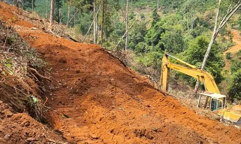 Đề nghị Công ty cổ phần Đầu tư du lịch Sài Gòn - Đại Ninh xử lý đất lâm nghiệp bị lấn, chiếm, xây dựng trái phép