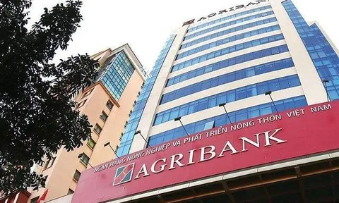 Ngân hàng Agribank 'ôm' hơn 2 triệu tỷ bất động sản thế chấp, rầm rộ rao bán để thu hồi nợ