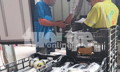 Phanh phui rau VietGAP dỏm: Hàng Trung Quốc 'VietGAP' vào Bách Hóa Xanh