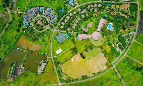 Agribank bán nợ gần 200 tỷ đồng của CTCP Đầu tư xây dựng Thăng Long