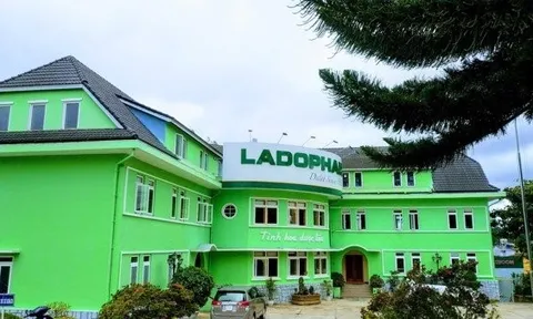 Công ty Ladophar có liên quan gì Louis Holdings, Nông sản Trình Nhi?