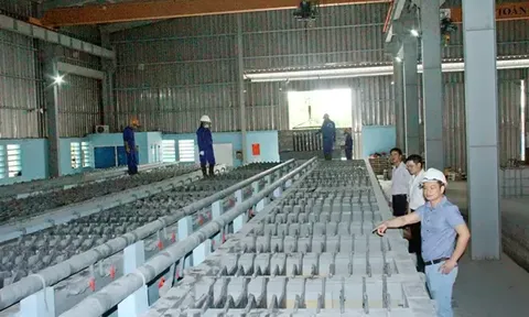 Chuyện lạ ở Ngọc Thiên Global: Khối tài sản phình to bất thường, doanh thu khủng mà lãi "hạt tiêu"