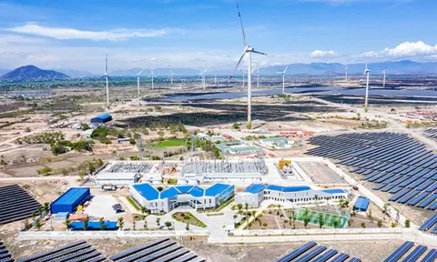 Trungnam Group dự kiến huy động 500 triệu USD trái phiếu trong ba năm tới