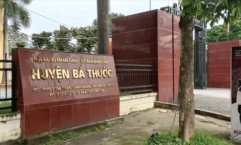 ‘Vượt mặt’ tỉnh, huyện tự ý chuyển đổi gần 7ha đất rừng