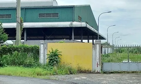 Vĩnh Long kiên quyết thu hồi dự án nhà máy xử lý rác 'đắp chiếu' gần 10 năm