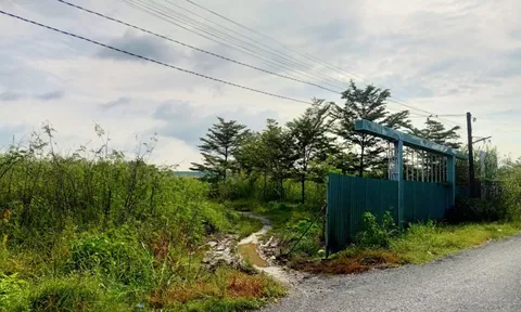 Mua nền dự án Khu dân cư Tấn Phát: Gần 4 năm chưa giao đất, tiền không trả