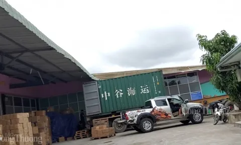 Chuyến container chữ Trung Quốc hé lộ các đầu vào của “đế chế” Charme Perfume