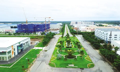 Long Hậu gây thiệt hại cho nhà đầu tư