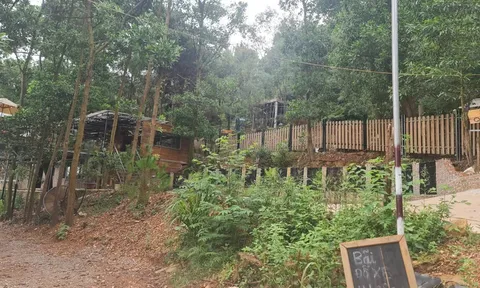 Sóc Sơn: U Lesa Retreat kinh doanh từ “máu thịt” rừng phòng hộ?