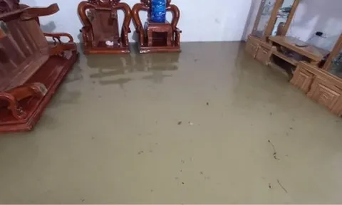 Tập đoàn CEO chặn đường thoát nước, người dân mất ngủ cả đêm vì lụt