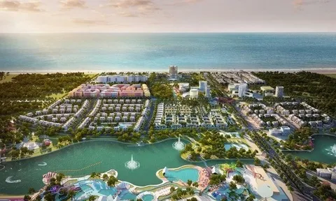 Công ty TNHH Bim Kiên Giang bán hàng không xuất hoá đơn, không kê khai thuế GTGT