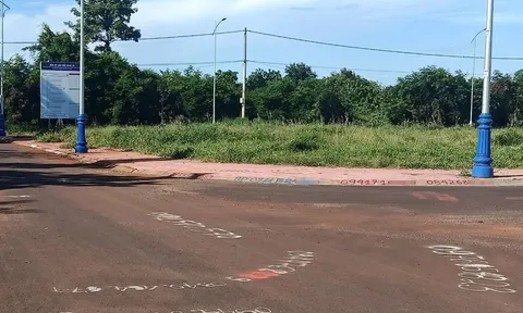 Cò đất xịt sơn số điện thoại rao bán đất Nhà nước