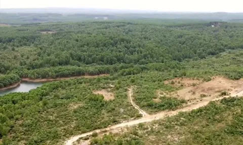 Dự án của FLC nằm trên giấy, tỉnh Quảng Trị lên phương án thu hồi