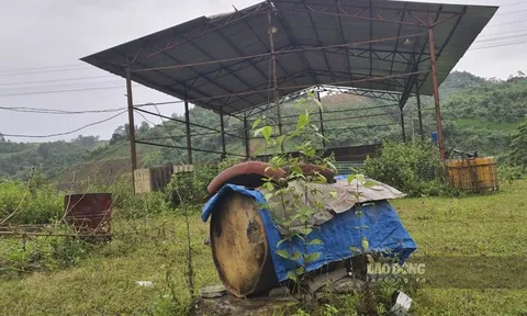 Sếp Lilama hưởng lợi trăm tỉ từ khai thác chui 1,5 triệu tấn quặng ra sao?