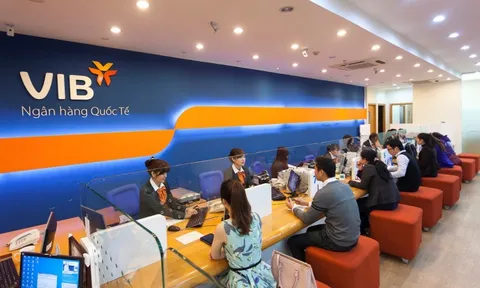 VIB: Hơn 4.000 tỷ đồng nợ có khả năng mất vốn và nợ nghi ngờ