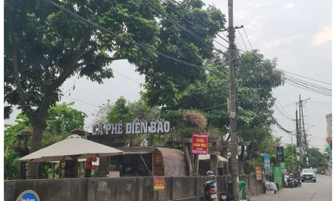 Ngang nhiên lấn chiếm, xâm phạm hành lang bảo vệ công trình thủy lợi Bắc Hưng Hải