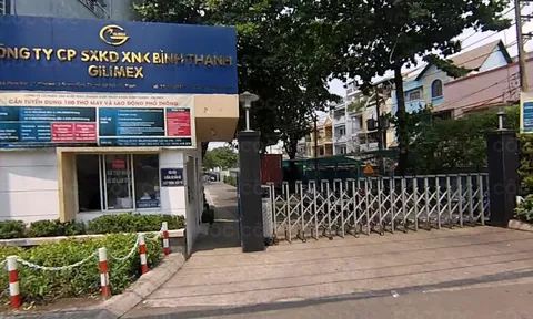 Gilimex (GIL): Rơi từ trên vai người khổng lồ