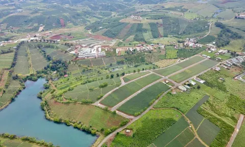 Sau thời gian Lâm Đồng tăng cường kiểm tra, các dự án cạo đồi chè ở Bảo Lộc giờ thế nào?