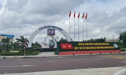 Nhiều vi phạm trong quản lý, sử dụng đất