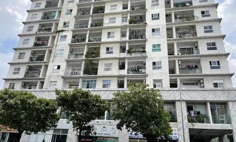 Rà soát tất cả vi phạm tại các chung cư của Công ty Khang Gia