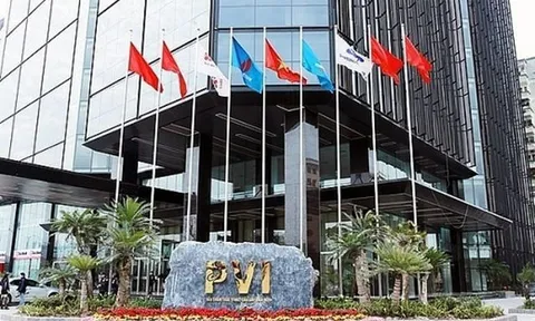 Công ty CP PVI khai sai thuế hàng tỉ đồng
