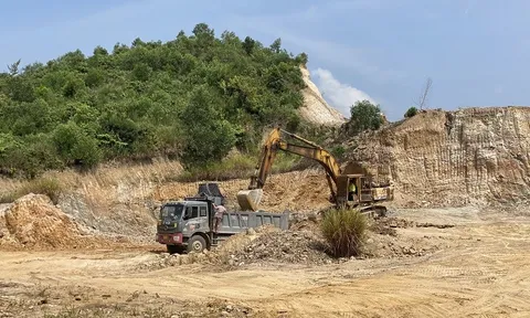 Công ty Lý Tuấn bán đất “chui” ở Quảng Ngãi: Kiến nghị đình chỉ hoạt động