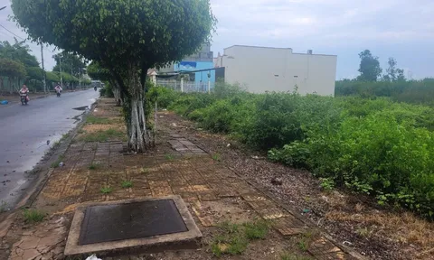 Vụ án vi phạm tại Dự án Khu dân cư Nọc Nạng: Chờ kết luận của Hội đồng giám định
