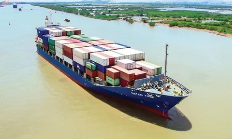 HAH giảm mạnh 60%, Dragon Capital rục rịch 'tháo chạy'