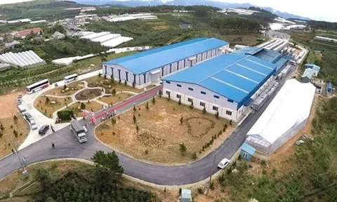 Ladofoods muốn 'biến' trụ sở thành dự án NƠXH quy mô 8.600 m2 giữa lòng TP. Đà Lạt