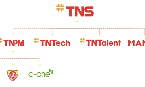 TNS Holdings: Doanh thu hoạt động tài chính đi lùi, dòng tiền kinh doanh âm