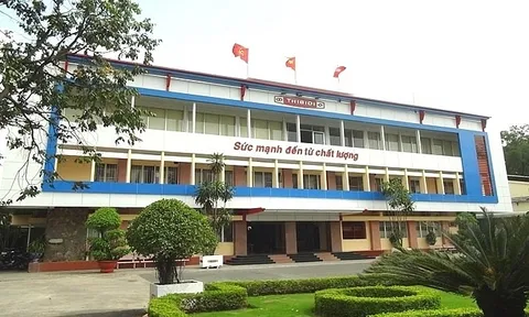 Tổng Giám đốc và Chủ tịch HĐQT Thibidi (THI) bất ngờ từ nhiệm